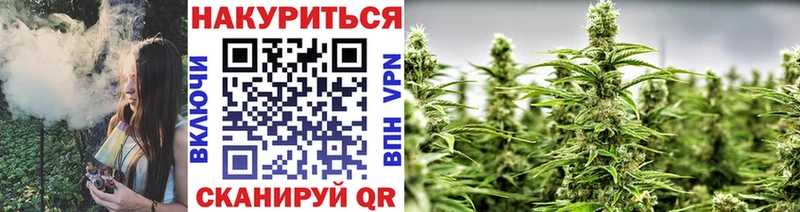 Купить наркотики сайты Лосино-Петровский МАРИХУАНА  ОМГ ОМГ tor  Мефедрон 