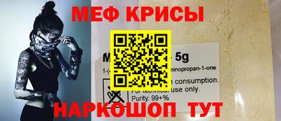 шишки Заволжье