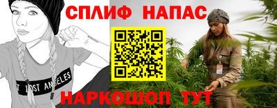 шишки Заволжье